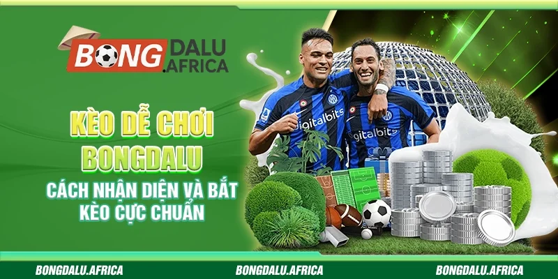 Kèo Dễ Chơi Bongdalu - Cách Nhận Diện Và Bắt Kèo Cực Chuẩn