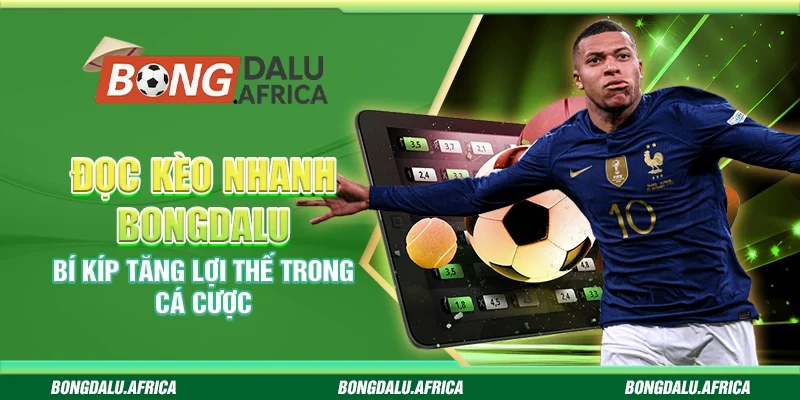 Đọc Kèo Nhanh Bongdalu - Bí Kíp Tăng Lợi Thế Trong Cá Cược