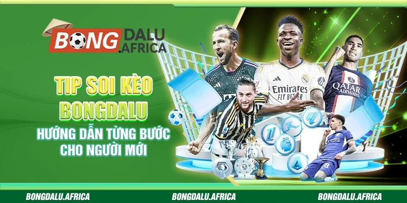 Tip Soi Kèo Bongdalu - Hướng Dẫn Từng Bước Cho Người Mới