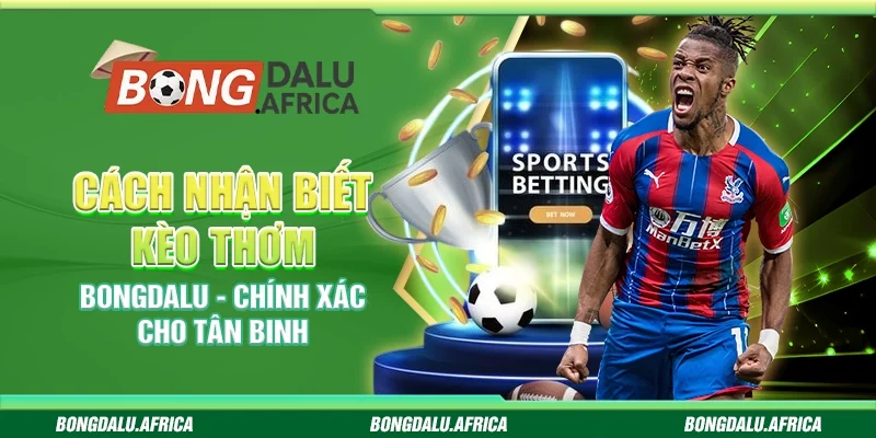 Cách Nhận Biết Kèo Thơm Bongdalu - Chính Xác Cho Tân Binh