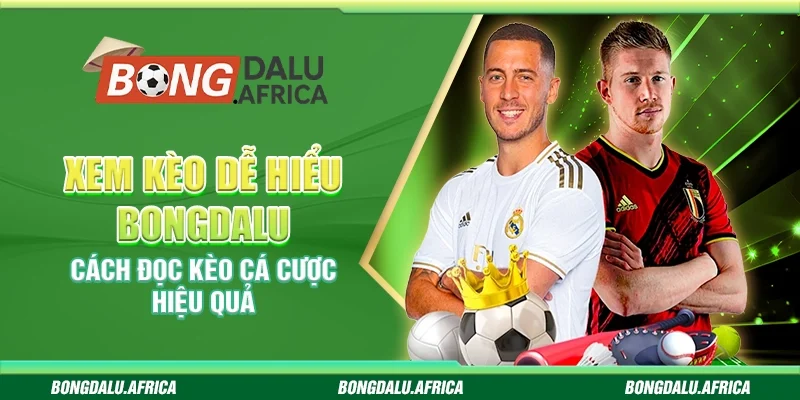 Xem Kèo Dễ Hiểu Bongdalu - Cách Đọc Kèo Cá Cược Hiệu Quả