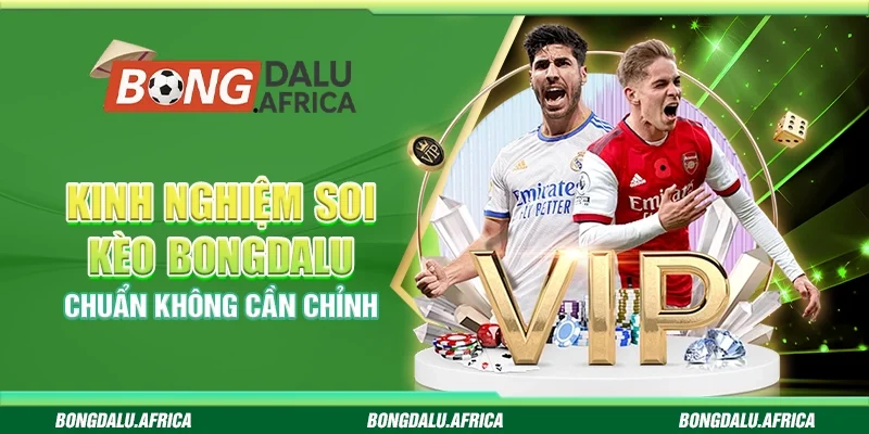 Kinh Nghiệm Soi Kèo Bongdalu - Chuẩn Không Cần Chỉnh
