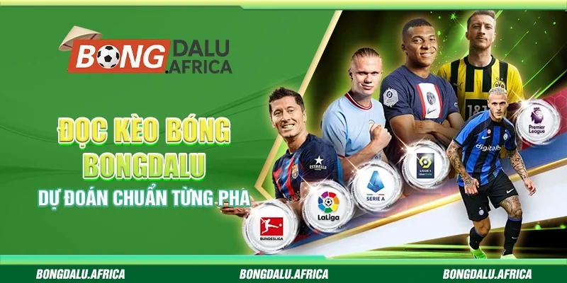 Đọc Kèo Bóng Bongdalu - Dự Đoán Chuẩn Từng Pha