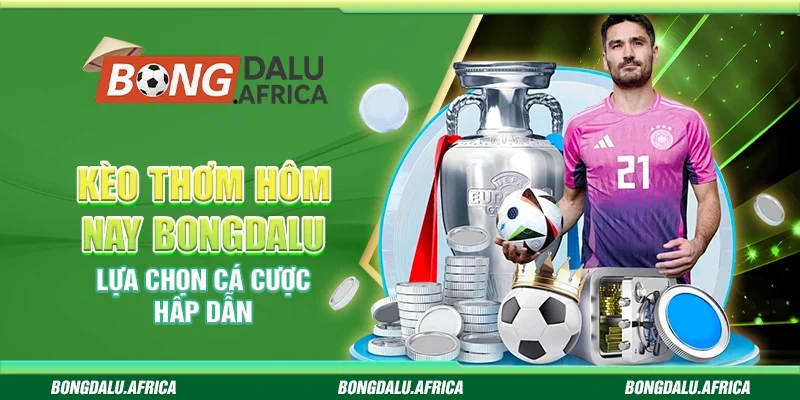 Kèo Thơm Hôm Nay Bongdalu - Lựa Chọn Cá Cược Hấp Dẫn