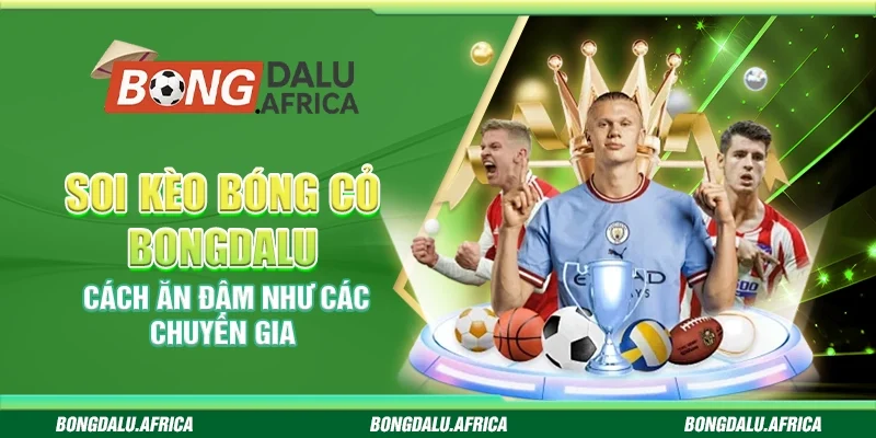Soi Kèo Bóng Cỏ Bongdalu - Cách Ăn Đậm Như Các Chuyên Gia