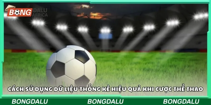 Cách sử dụng dữ liệu thống kê hiệu quả khi cược thể thao