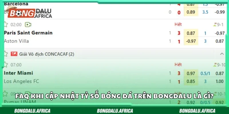 FAQ khi cập nhật tỷ số bóng đá trên Bongdalu là gì?