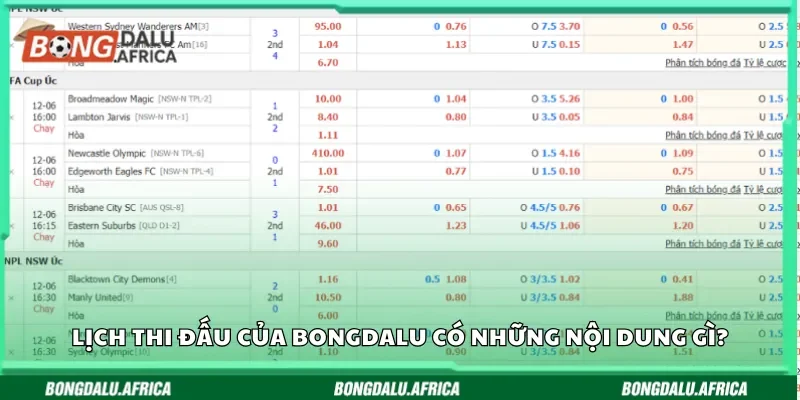 Vì sao nên xem lịch bóng đá tại Bongdalu?
