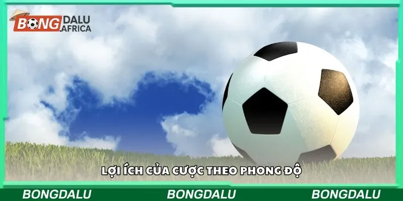 Lợi ích của cược theo phong độ