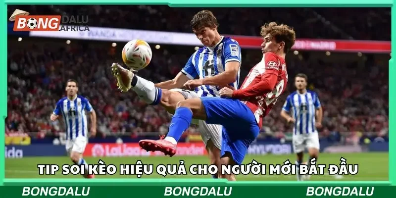 Một số tip soi tỷ lệ kèo hiệu quả cho newbie