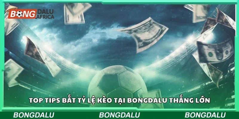 Top tips bắt tỷ lệ kèo tại Bongdalu thắng lớn