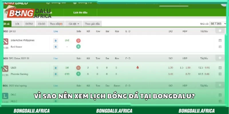 Vì sao nên xem lịch bóng đá tại Bongdalu?