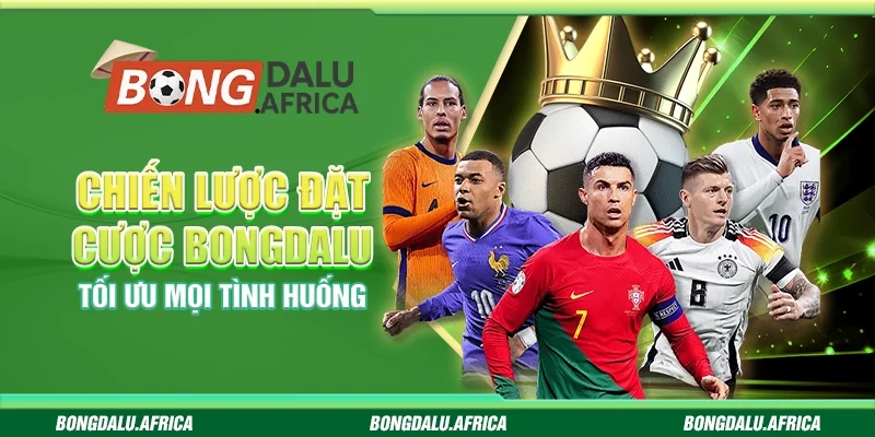 Chiến Lược Đặt Cược Bongdalu - Tối Ưu Mọi Tình Huống