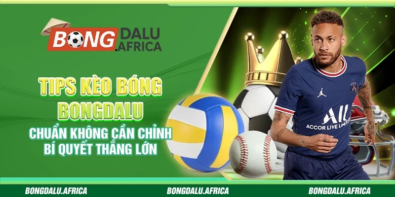 Tips kèo bóng bongdalu chuẩn không cần chỉnh năm 2025