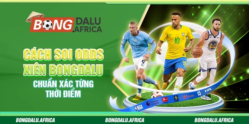 Cách Soi Odds Xiên Bongdalu - Chuẩn Xác Từng Thời Điểm