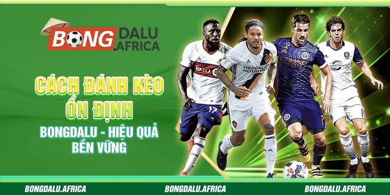 Cách Đánh Kèo Ổn Định Bongdalu - Hiệu Quả Bền Vững