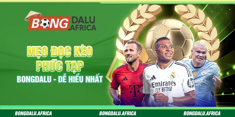 Hướng Dẫn Chọn Kèo Phụ Bongdalu - Dễ Hiểu, Trúng Cao