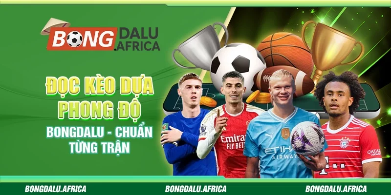 Đọc Kèo Dựa Phong Độ Bongdalu - Chuẩn Từng Trận
