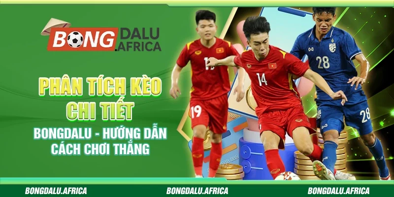 Phân Tích Kèo Chi Tiết Bongdalu - Hướng Dẫn Cách Chơi Thắng