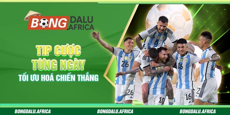 Tip Cược Từng Ngày Bongdalu - Tối Ưu Hoá Chiến Thắng