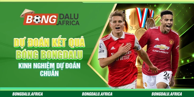 Dự Đoán Kết Quả Bóng Bongdalu - Kinh Nghiệm Dự Đoán Chuẩn