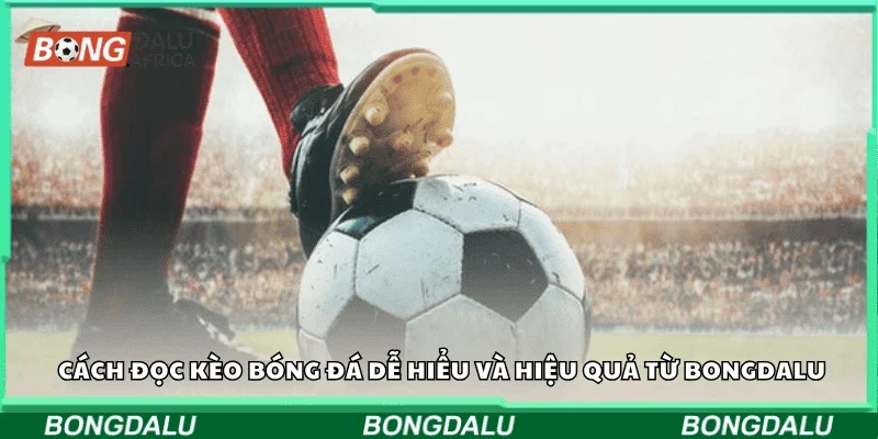 Cách đọc kèo bóng đá dễ hiểu và hiệu quả từ Bongdalu