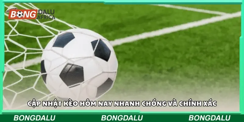 Cập nhật kèo hôm nay nhanh chóng và chính xác