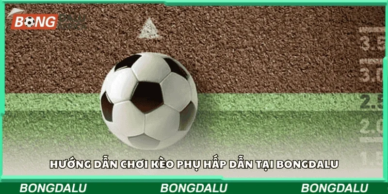Hướng dẫn chơi kèo phụ hấp dẫn tại Bongdalu