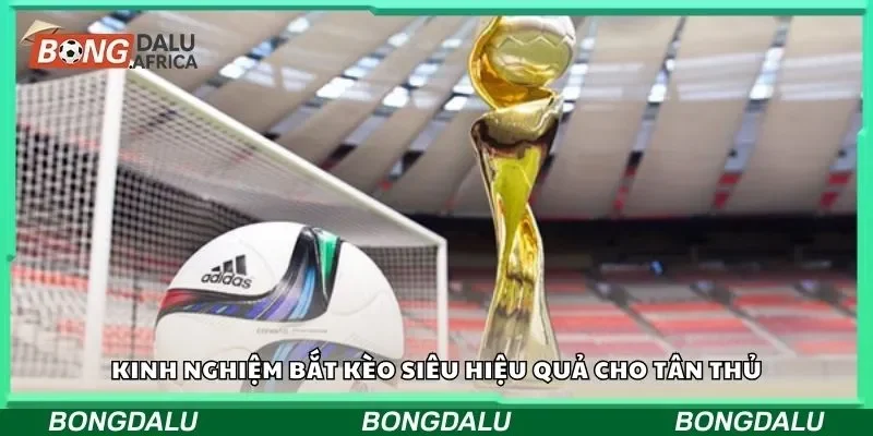 Kinh nghiệm bắt kèo siêu hiệu quả cho tân thủ