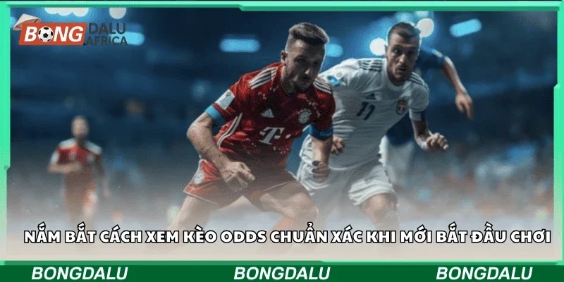 Nắm bắt cách xem kèo odds chuẩn xác khi mới bắt đầu chơi