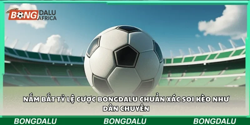 Nắm bắt tỷ lệ cược bongdalu chuẩn xác soi kèo như dân chuyên