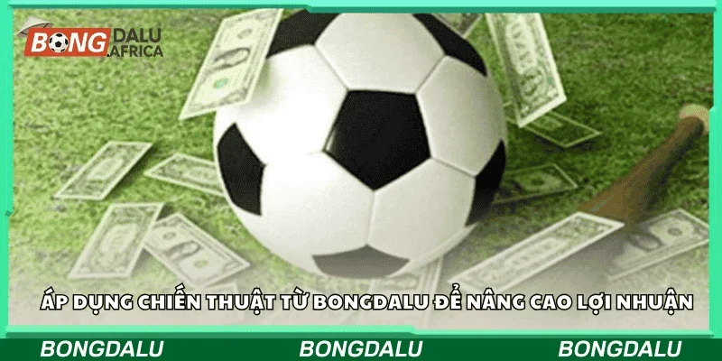 Áp dụng chiến thuật từ Bongdalu để nâng cao lợi nhuận
