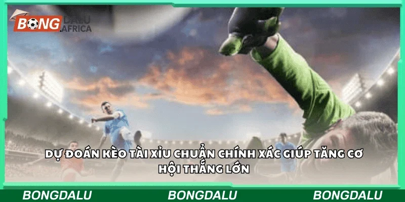 Dự đoán kèo tài xỉu chuẩn chính xác giúp tăng cơ hội thắng lớn