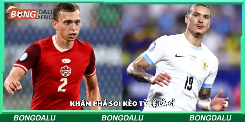 Khám phá soi kèo tỷ lệ là gì