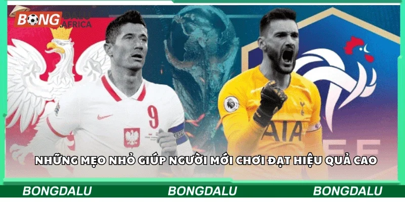 Những mẹo nhỏ giúp người mới chơi đạt hiệu quả cao