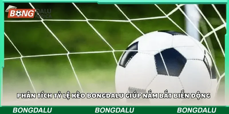 Phân tích tỷ lệ kèo Bongdalu giúp nắm bắt biến động 